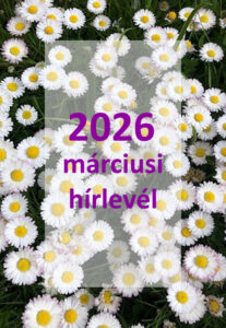 Hírlevél archívum