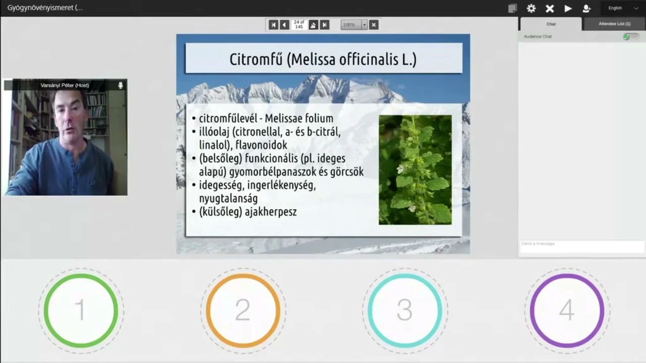 Fitoterápia / Citromfű